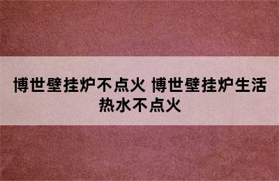 博世壁挂炉不点火 博世壁挂炉生活热水不点火